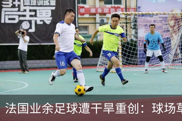 法国业余足球遭干旱重创：球场草坪枯黄干裂，新赛季举步维艰