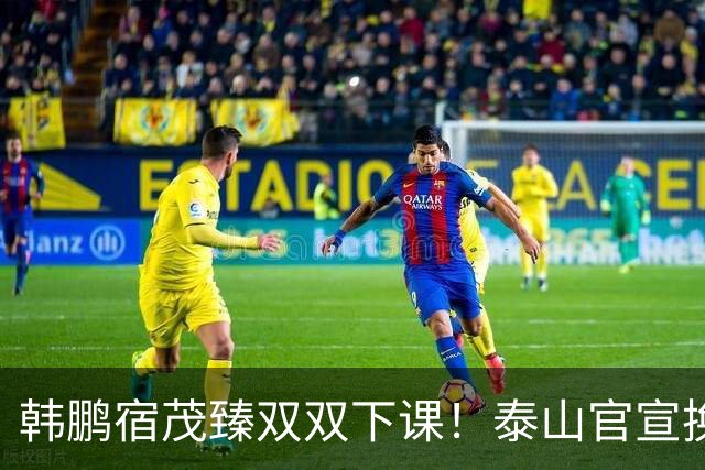 韩鹏宿茂臻双双下课！泰山官宣换帅，临时主帅是老熟人，韩鹏发声